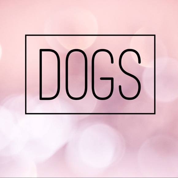 🐶 Dogs 🐶 - Picture 1 of 1